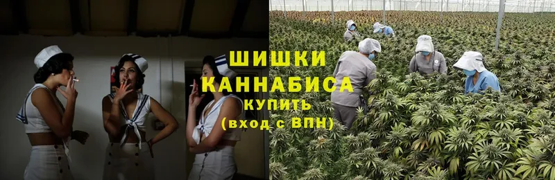 Конопля ГИДРОПОН  где купить наркоту  blacksprut сайт  Горбатов 